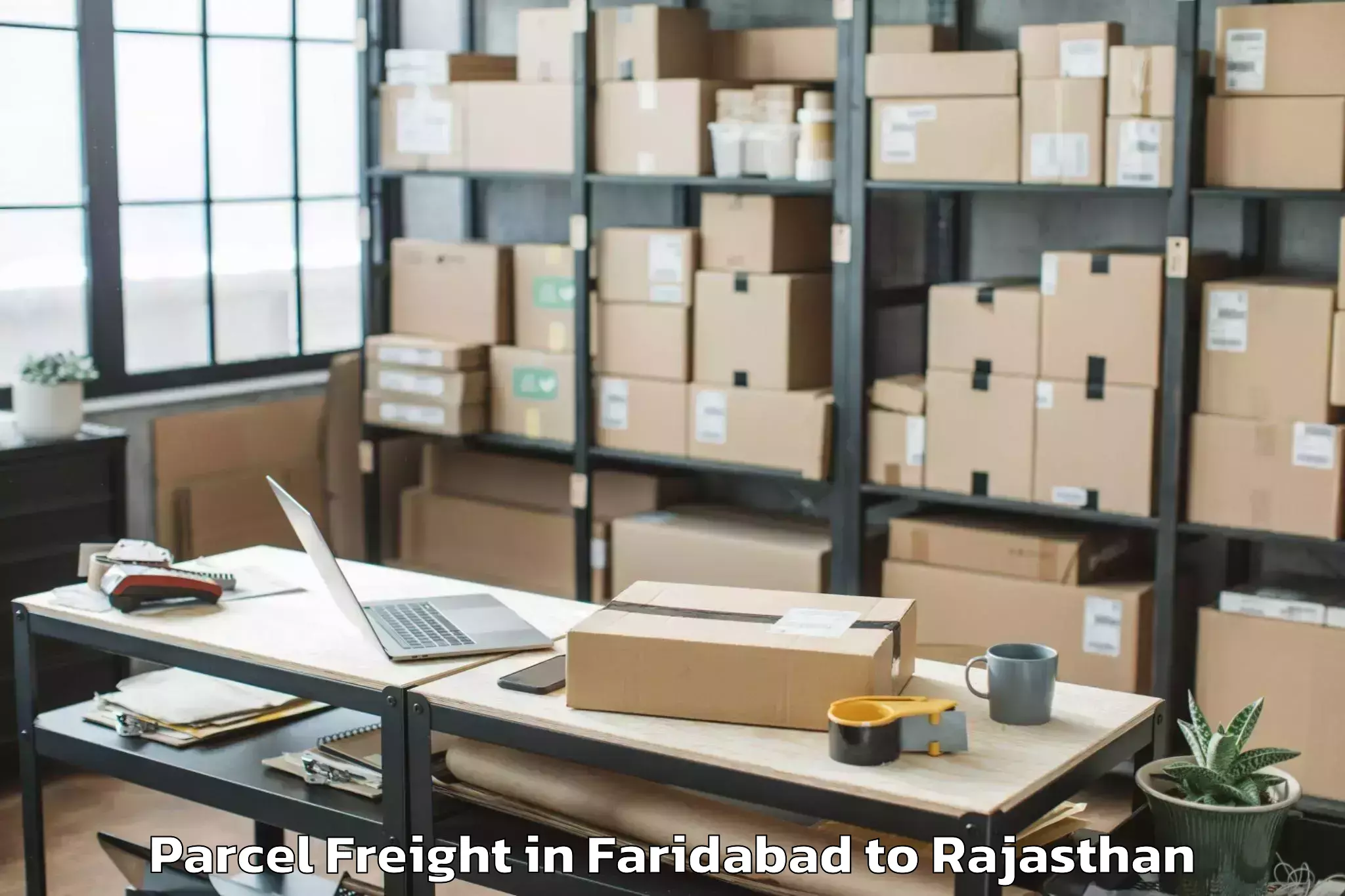 Top Faridabad to Iit Jodhpur Parcel Freight Available